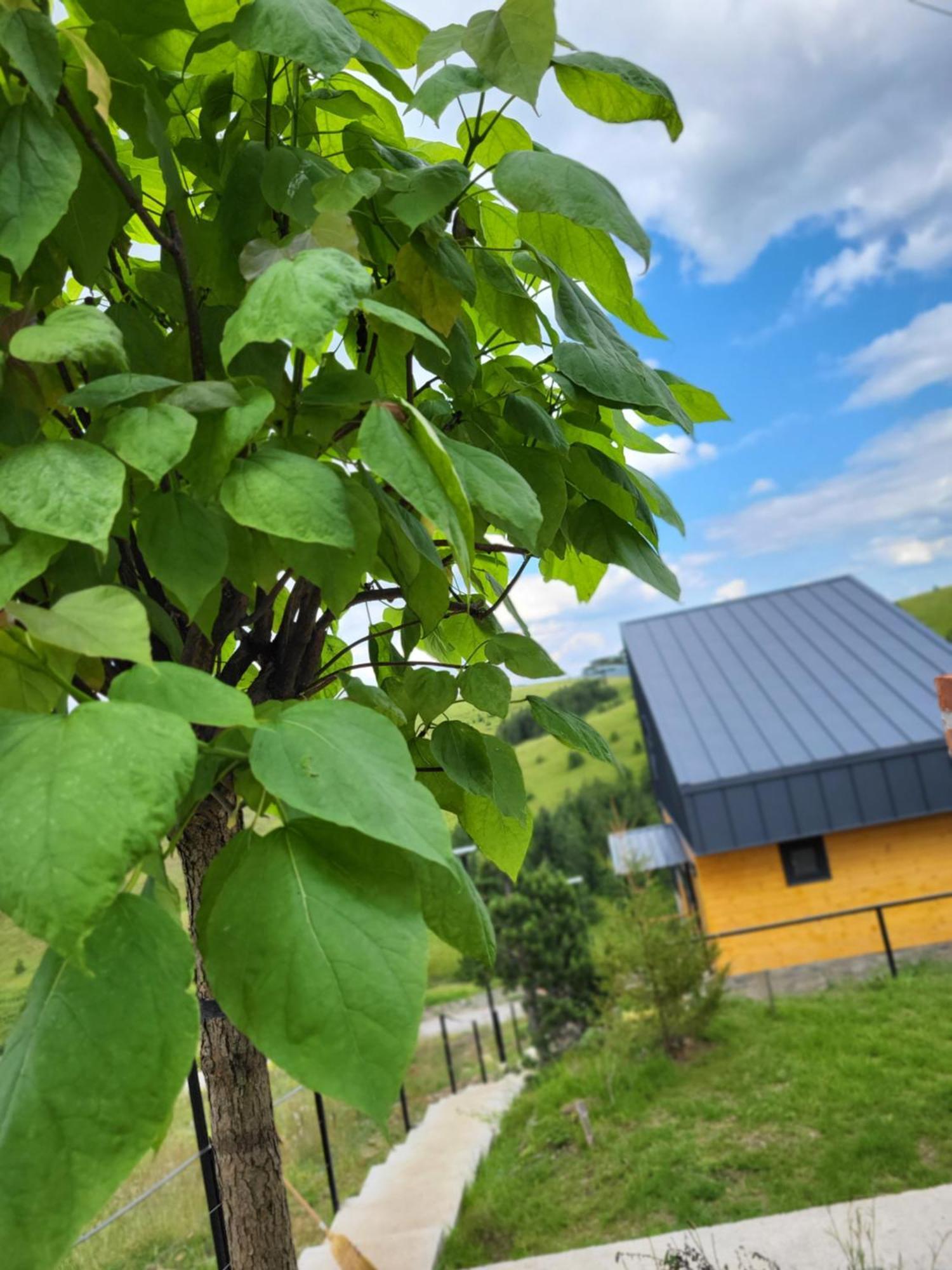 Villa Huut Zlatibor Exterior foto