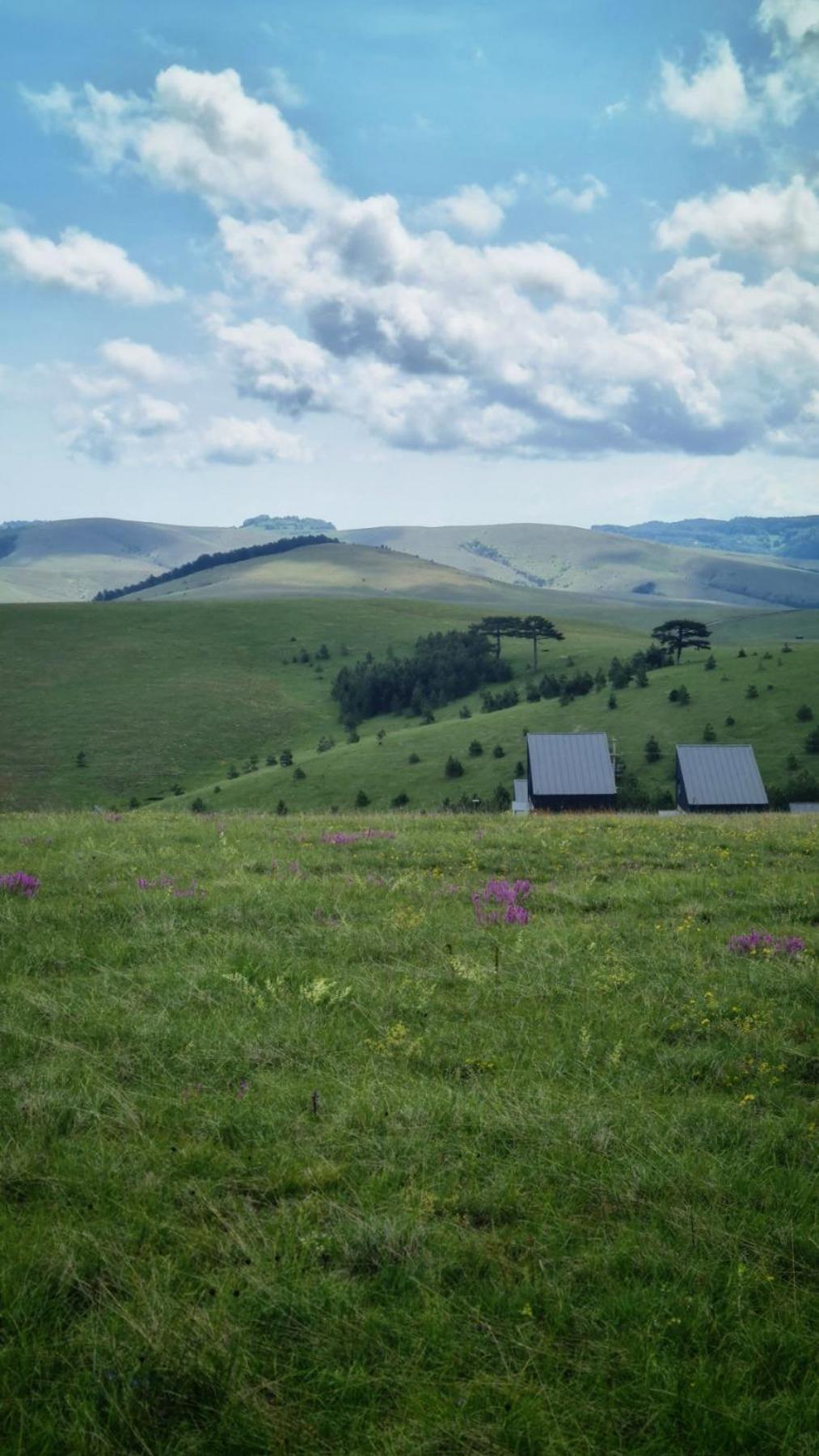 Villa Huut Zlatibor Exterior foto